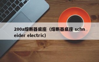 200a熔断器底座（熔断器底座 schneider electric）