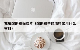 充填熔断器保险片（熔断器中的填料常用什么材料）