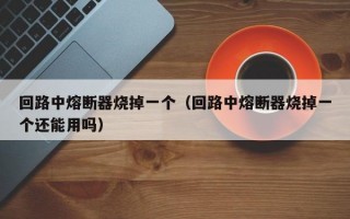 回路中熔断器烧掉一个（回路中熔断器烧掉一个还能用吗）