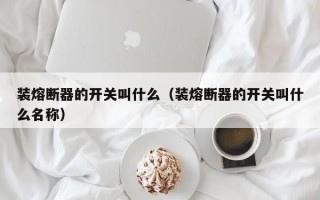 装熔断器的开关叫什么（装熔断器的开关叫什么名称）