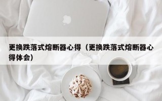 更换跌落式熔断器心得（更换跌落式熔断器心得体会）